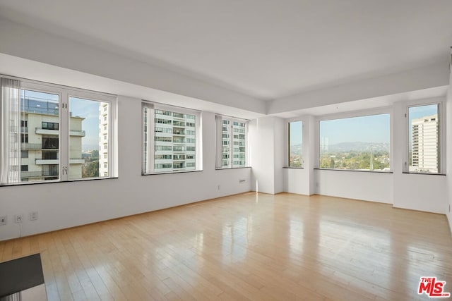 spare room featuring light hardwood / wood-style flooring