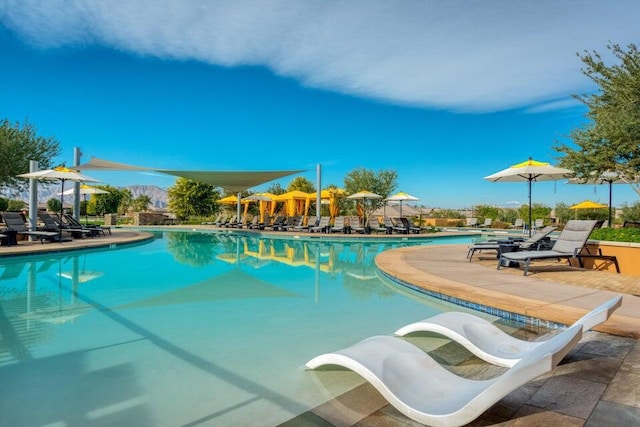 view of pool featuring a patio area