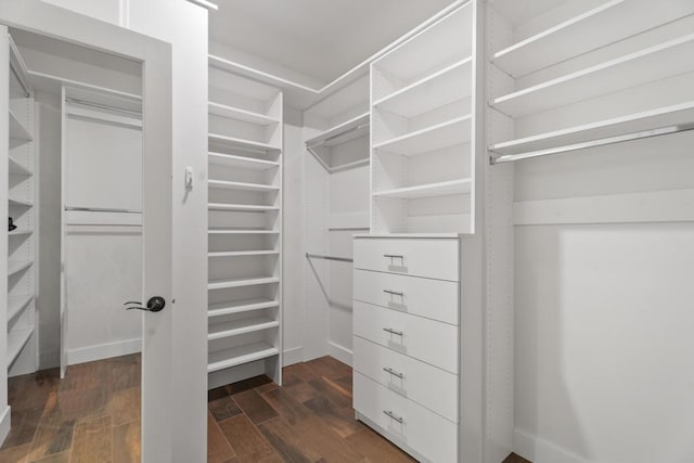 spacious closet with dark hardwood / wood-style flooring