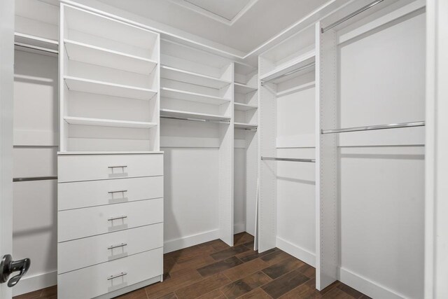 walk in closet featuring dark hardwood / wood-style floors