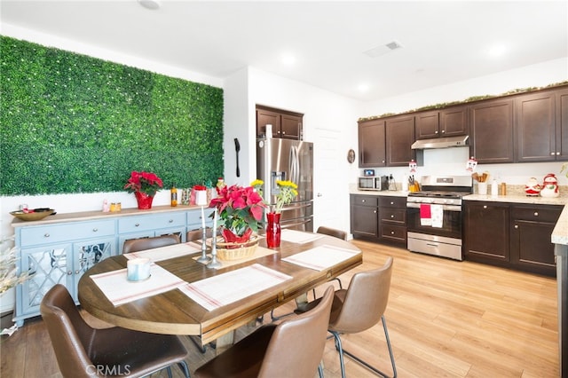 kitchen with dark brown cabinets, appliances with stainless steel finishes, and light hardwood / wood-style flooring