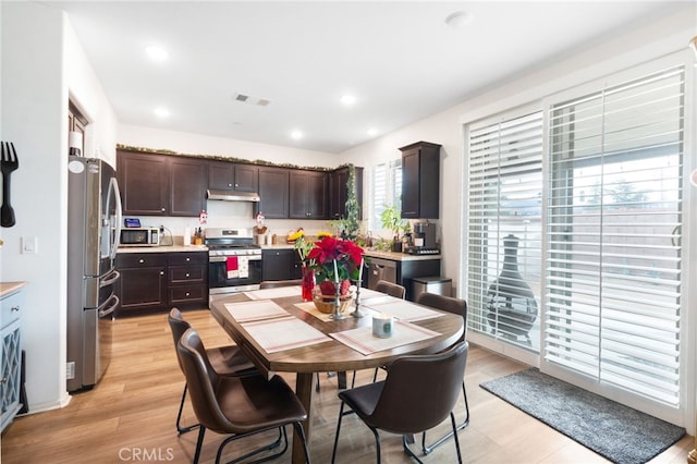 dining room with light hardwood / wood-style flooring and plenty of natural light