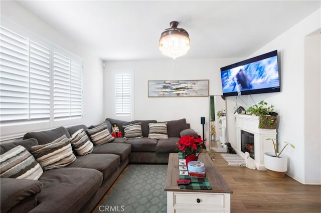 living room featuring hardwood / wood-style flooring