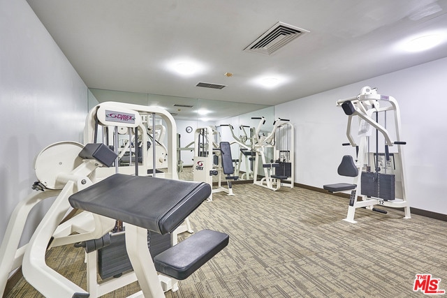 gym with carpet floors