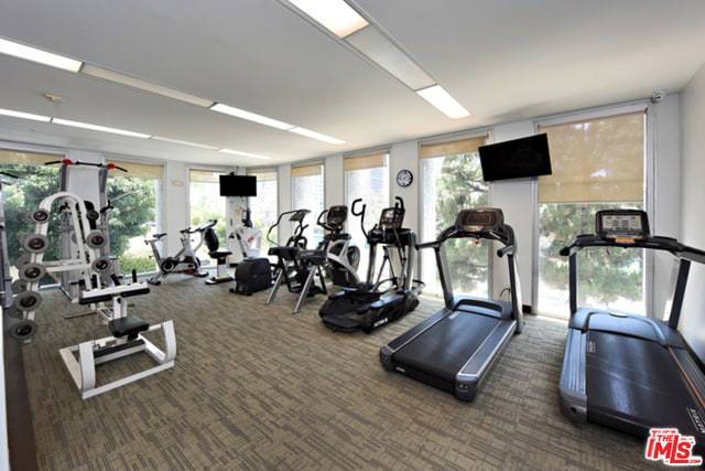 gym with dark colored carpet