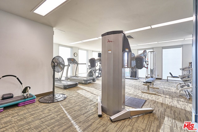 workout area with carpet floors