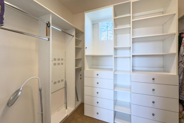 spacious closet featuring dark colored carpet