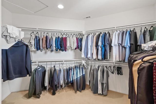 spacious closet with carpet flooring