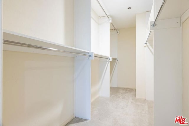 spacious closet with light colored carpet