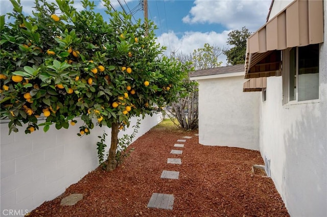 view of yard with fence