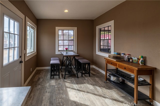 dining space featuring hardwood / wood-style floors