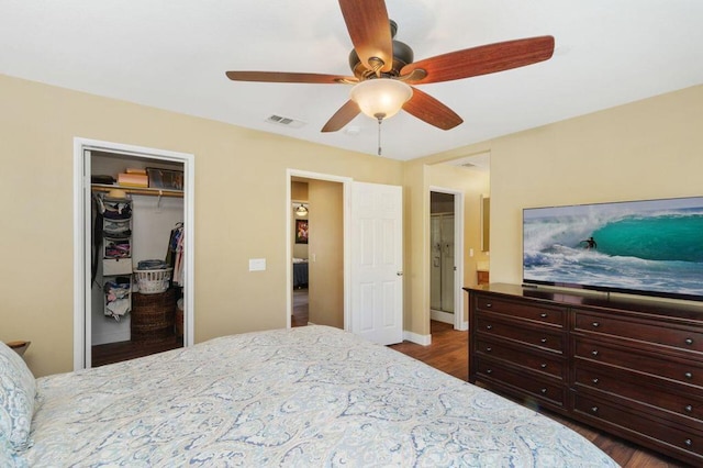 bedroom with ceiling fan, a spacious closet, dark hardwood / wood-style floors, and a closet