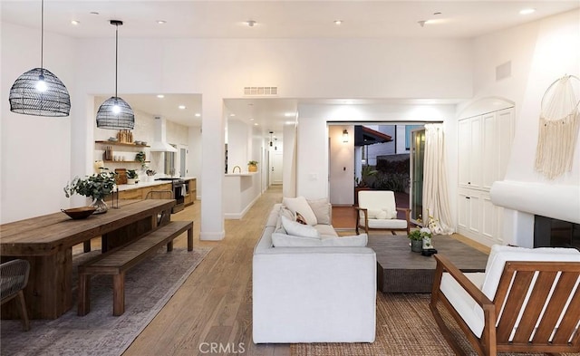 living room featuring hardwood / wood-style floors and a high ceiling