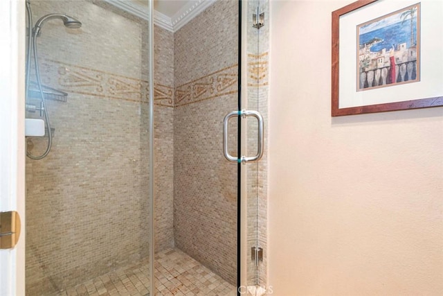 bathroom with a shower with shower door