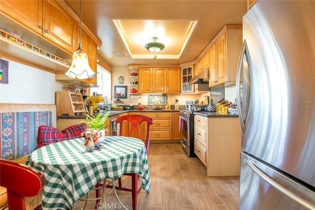 kitchen featuring pendant lighting, sink, light hardwood / wood-style flooring, appliances with stainless steel finishes, and a tray ceiling