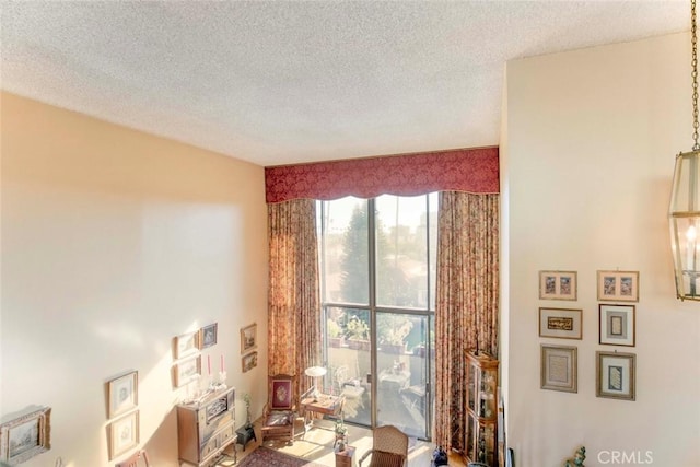 home office with a textured ceiling