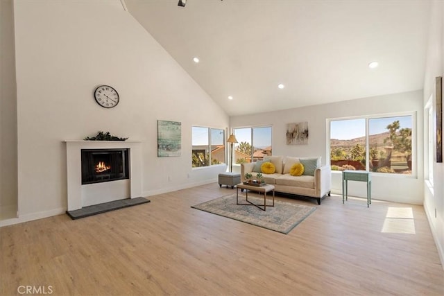 living room featuring high vaulted ceiling and light hardwood / wood-style flooring