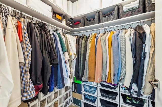 view of spacious closet