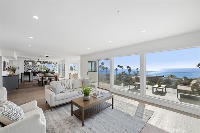 living room with hardwood / wood-style flooring and a water view