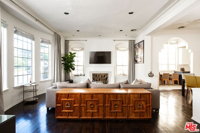 living room featuring dark hardwood / wood-style flooring and ornamental molding