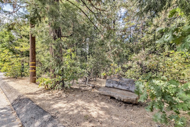 Listing photo 2 for 0 Circle Dr, Idyllwild CA 92549