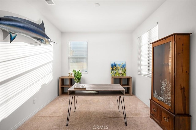 home office with light carpet and a wealth of natural light