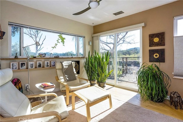 interior space with a wealth of natural light, visible vents, a ceiling fan, and wood finished floors