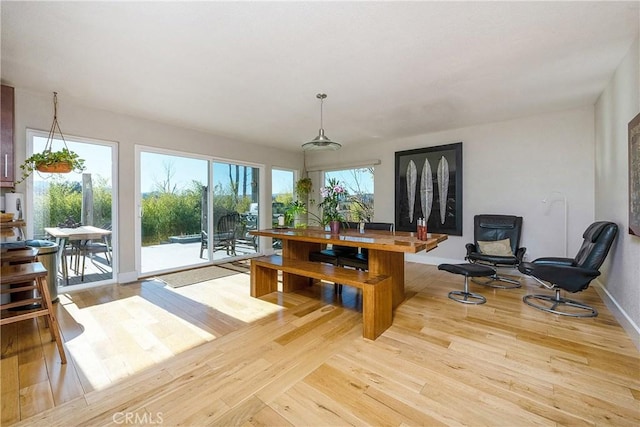 dining room with light hardwood / wood-style flooring