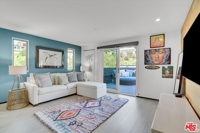 living room with hardwood / wood-style flooring