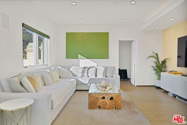 living room with light hardwood / wood-style floors