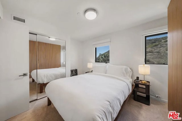 bedroom with carpet floors and a closet