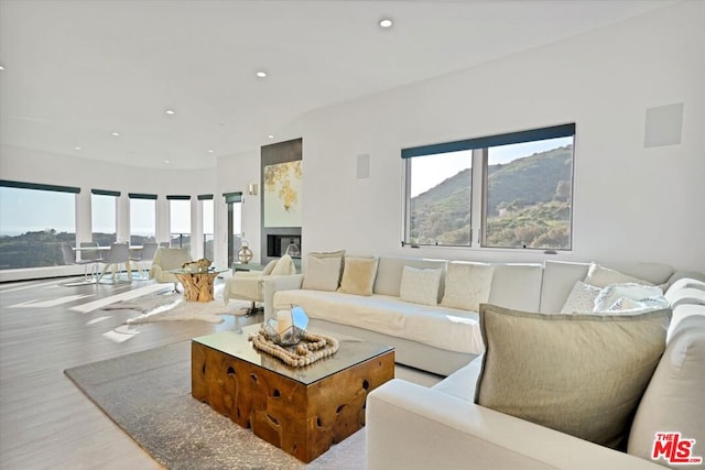 living room with a mountain view and light wood-type flooring