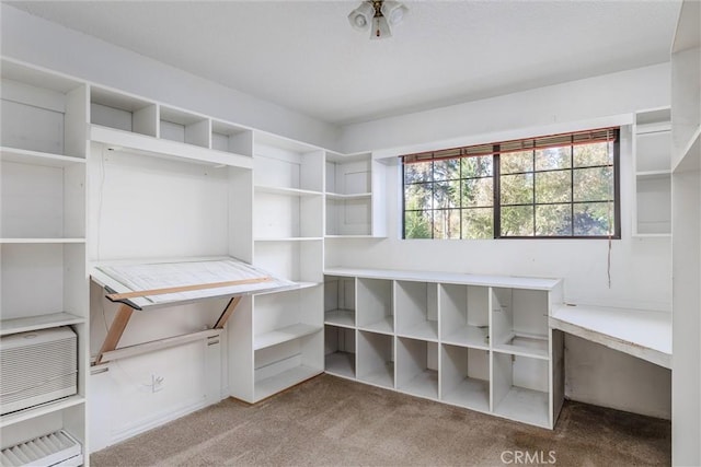 walk in closet featuring light colored carpet