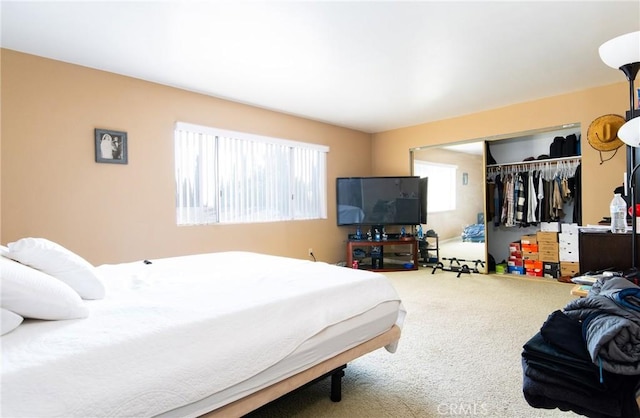 bedroom featuring carpet floors and a closet