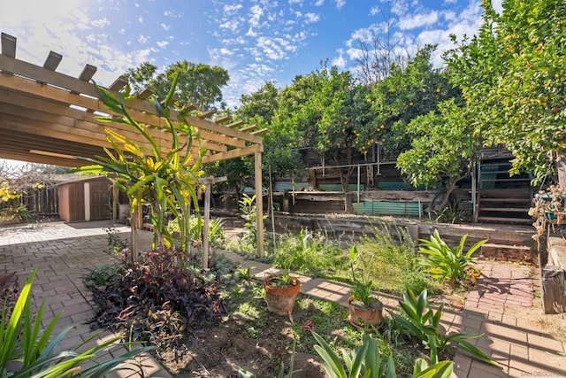 view of yard with a shed and a pergola