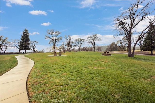 view of community with a lawn