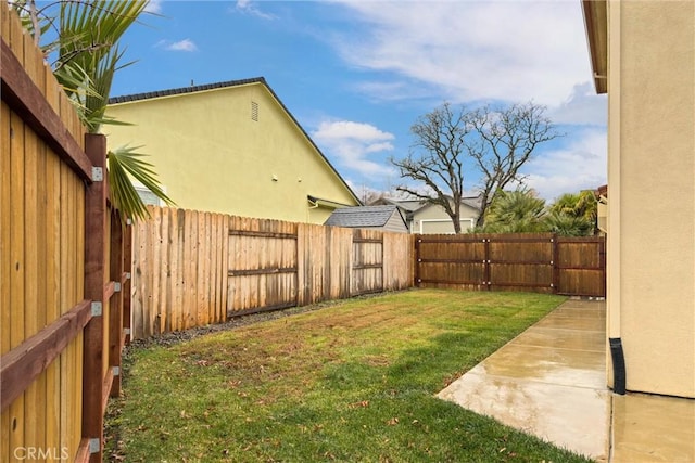 view of yard featuring a patio area