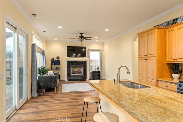 kitchen with light stone countertops, plenty of natural light, a breakfast bar area, and sink