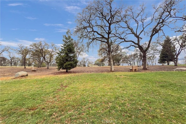 view of yard with a rural view