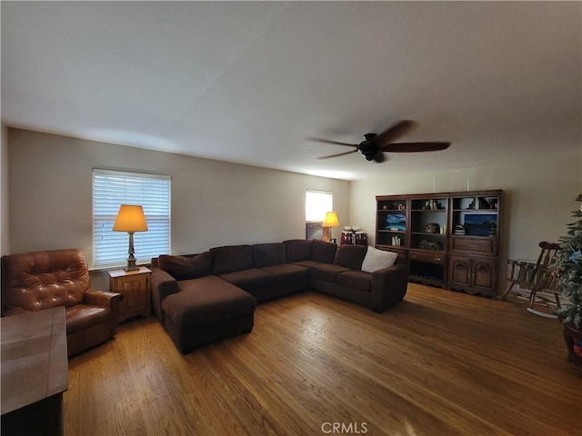 living room with ceiling fan and wood-type flooring