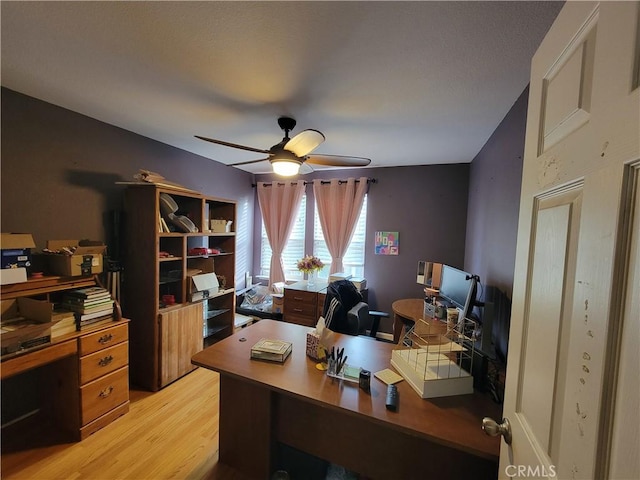 office area featuring ceiling fan and light hardwood / wood-style floors