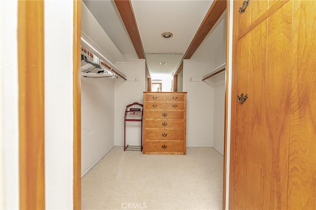 spacious closet featuring light carpet