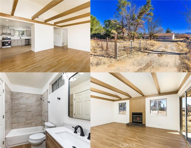 interior space featuring hardwood / wood-style floors, vanity, toilet, and independent shower and bath