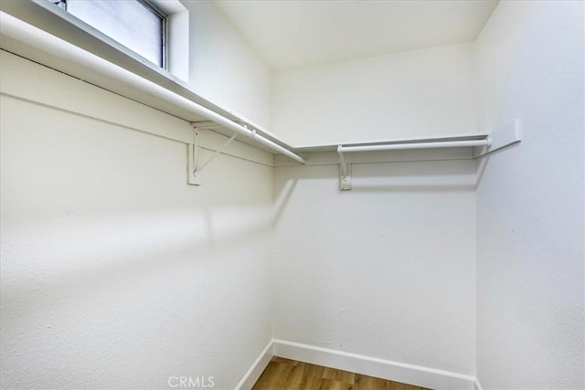 walk in closet featuring hardwood / wood-style floors