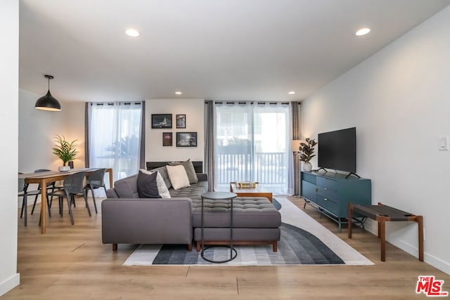 living room with light wood-type flooring