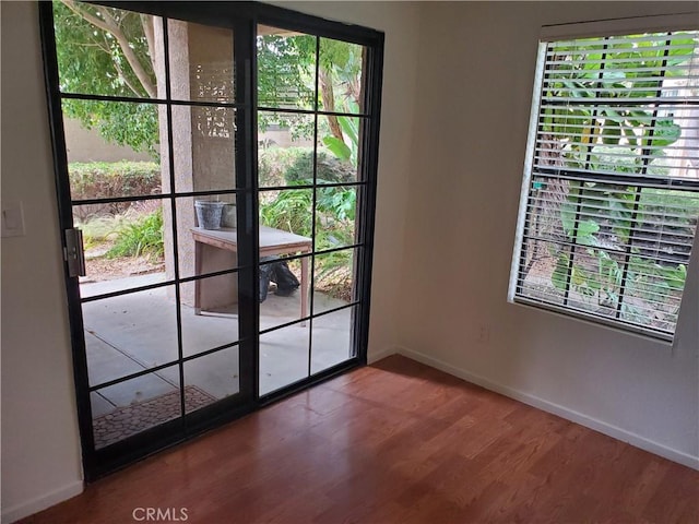 entryway with wood-type flooring