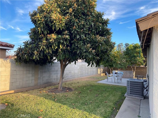 view of yard with a patio and central AC unit