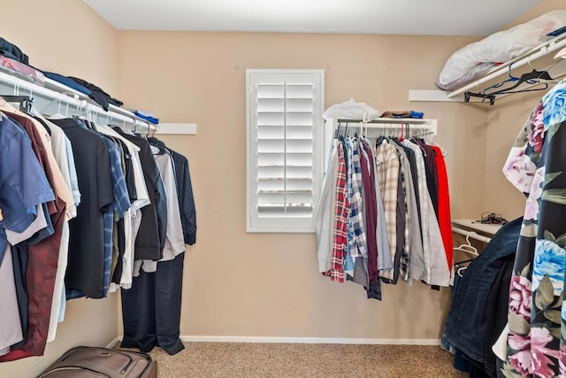 walk in closet featuring carpet