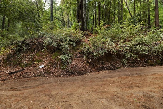 view of local wilderness