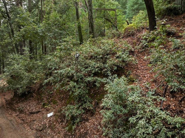 view of local wilderness